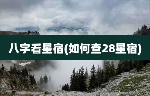 八字看星宿(如何查28星宿)