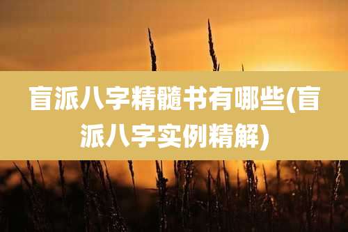 盲派八字精髓书有哪些(盲派八字实例精解)