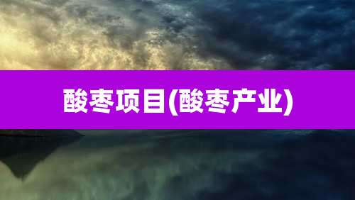 酸枣项目(酸枣产业)