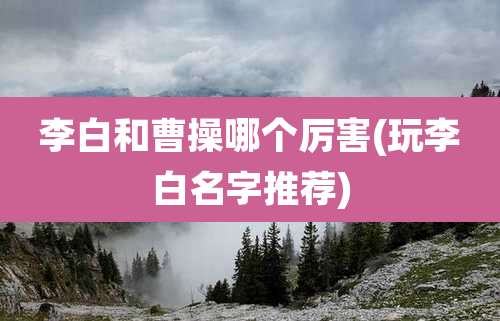 李白和曹操哪个厉害(玩李白名字推荐)