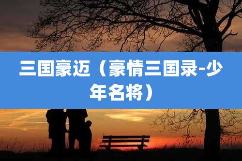 三国豪迈(豪情三国录-少年名将)