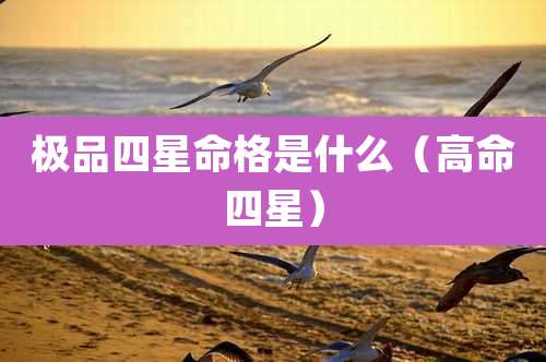 极品四星命格是什么（高命四星）