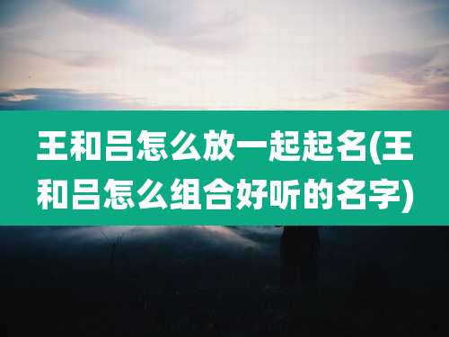 王和吕怎么放一起起名(王和吕怎么组合好听的名字)