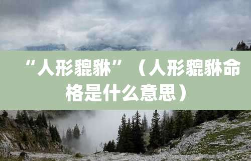 “人形貔貅”（人形貔貅命格是什么意思）