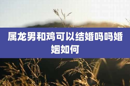 属龙男和鸡可以结婚吗吗婚姻如何