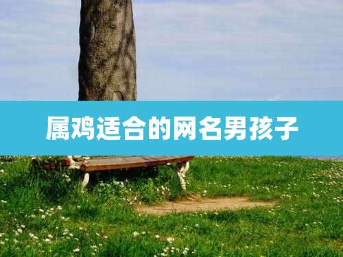 属鸡适合的网名男孩子