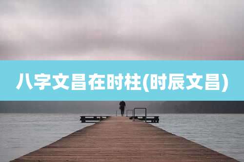 八字文昌在时柱(时辰文昌)