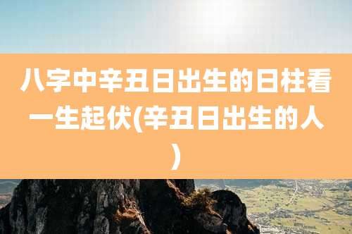 八字中辛丑日出生的日柱看一生起伏(辛丑日出生的人)