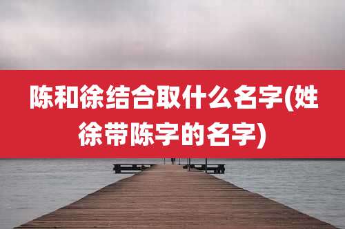 陈和徐结合取什么名字(姓徐带陈字的名字)