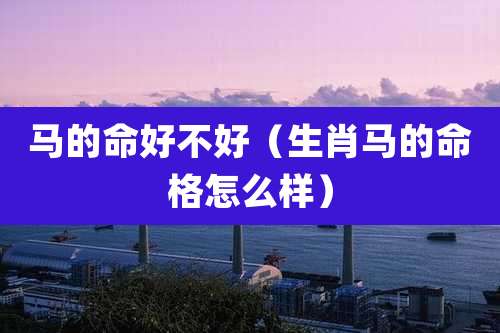 马的命好不好（生肖马的命格怎么样）