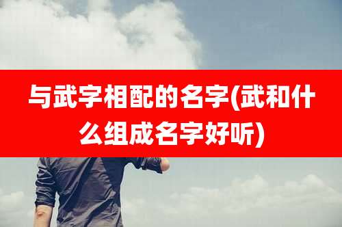 与武字相配的名字(武和什么组成名字好听)