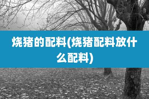 烧猪的配料(烧猪配料放什么配料)