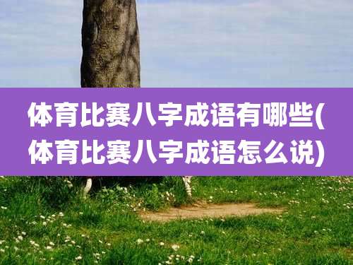 体育比赛八字成语有哪些(体育比赛八字成语怎么说)