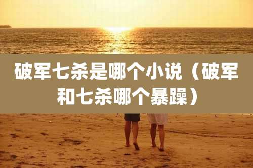 破军七杀是哪个小说（破军和七杀哪个暴躁）