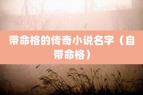 带命格的传奇小说名字（自带命格）
