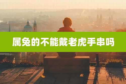 属兔的不能戴老虎手串吗