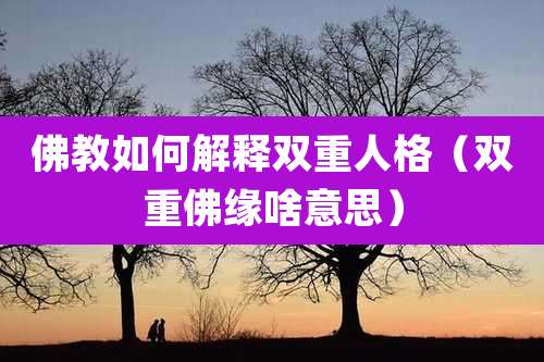 佛教如何解释双重人格（双重佛缘啥意思）