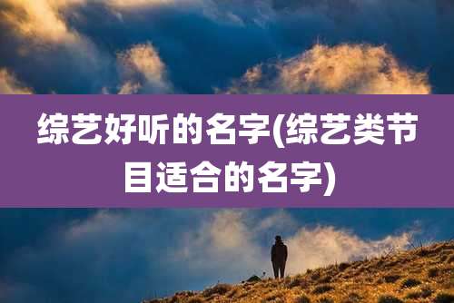 综艺好听的名字(综艺类节目适合的名字)
