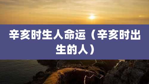 辛亥时生人命运（辛亥时出生的人）