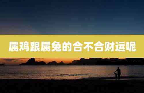 属鸡跟属兔的合不合财运呢