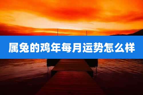 属兔的鸡年每月运势怎么样