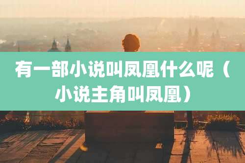 有一部小说叫凤凰什么呢（小说主角叫凤凰）