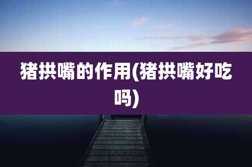 猪拱嘴的作用(猪拱嘴好吃吗)