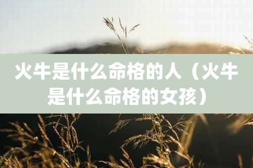 火牛是什么命格的人（火牛是什么命格的女孩）