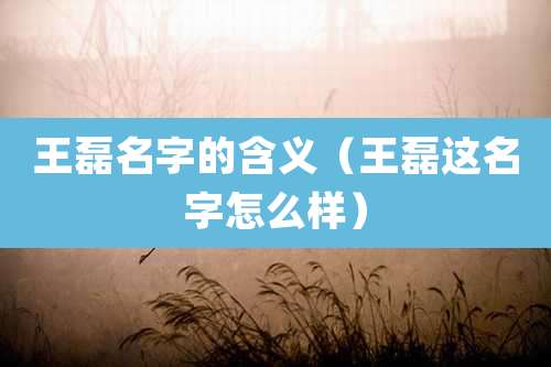 王磊名字的含义（王磊这名字怎么样）