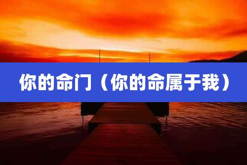 你的命门（你的命属于我）