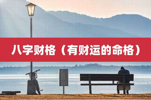 八字财格（有财运的命格）