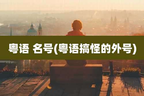 粤语 名号(粤语搞怪的外号)