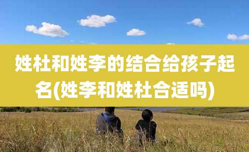 姓杜和姓李的结合给孩子起名(姓李和姓杜合适吗)