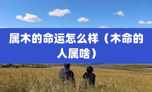 属木的命运怎么样（木命的人属啥）