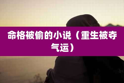 命格被偷的小说（重生被夺气运）