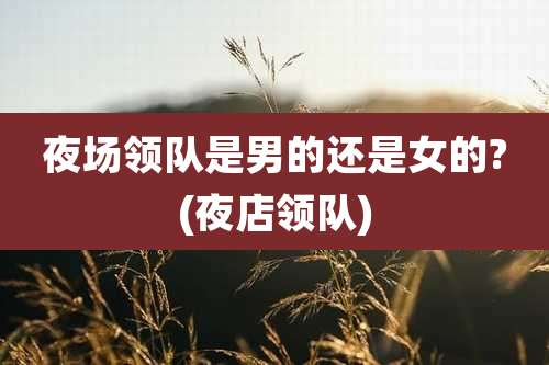 夜场领队是男的还是女的?(夜店领队)