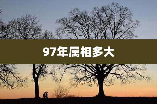 97年属相多大