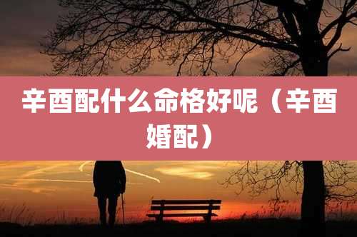 辛酉配什么命格好呢（辛酉婚配）