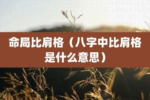 命局比肩格（八字中比肩格是什么意思）