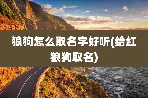 狼狗怎么取名字好听(给红狼狗取名)