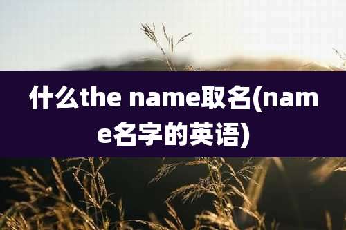什么the name取名(name名字的英语)