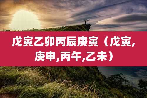戊寅乙卯丙辰庚寅（戊寅,庚申,丙午,乙未）