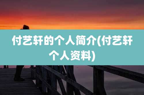 付艺轩的个人简介(付艺轩个人资料)