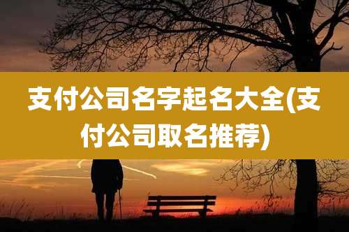 支付公司名字起名大全(支付公司取名推荐)