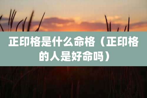 正印格是什么命格（正印格的人是好命吗）