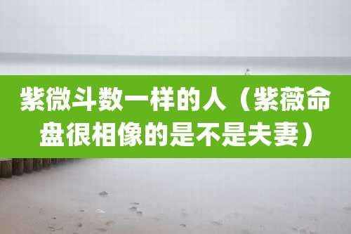 紫微斗数一样的人（紫薇命盘很相像的是不是夫妻）