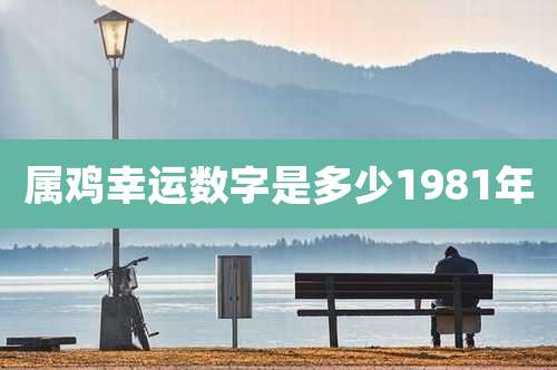 属鸡幸运数字是多少1981年