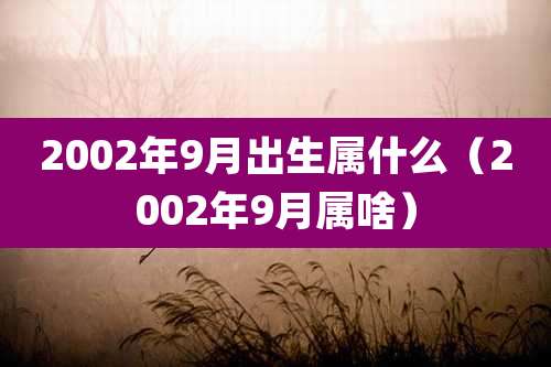 2002年9月出生属什么（2002年9月属啥）