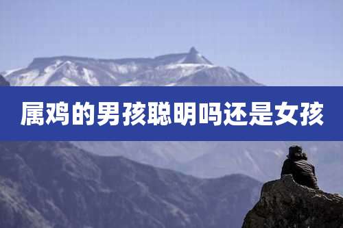 属鸡的男孩聪明吗还是女孩