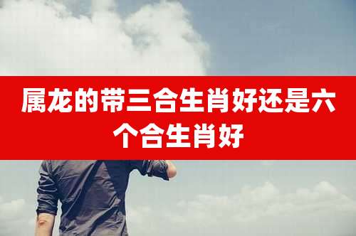 属龙的带三合生肖好还是六个合生肖好